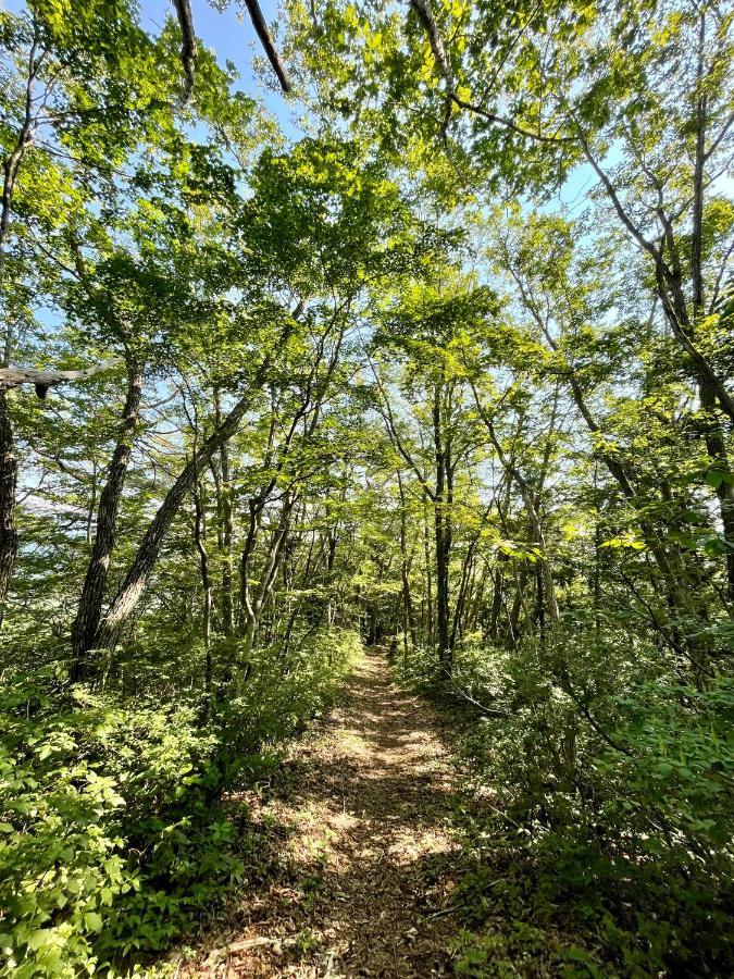 ベアーズデンマウンテンロッジ 白馬村 エクステリア 写真